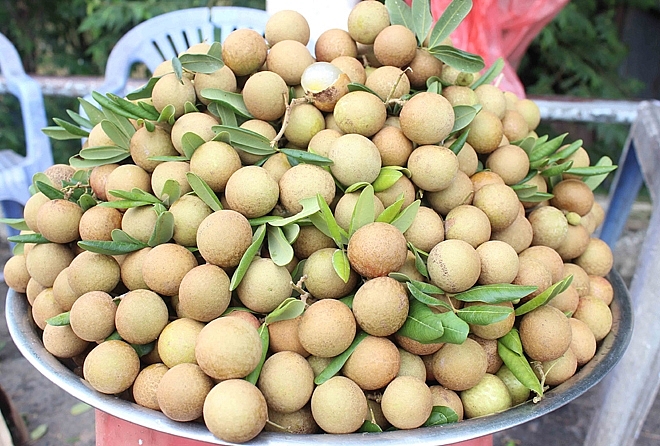 Đây là thời điểm An Giang đang bước vào thời điểm thu hoạch nhiều mặt hàng nông sản cần có hỗ trợ để tiêu thụ