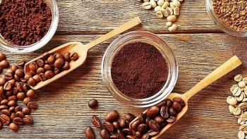 Giá cà phê hôm nay 26/7: Đi ngang đầu tuần