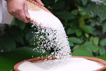 Xuất  khẩu gạo ST24, ST25 tiếp tục tăng "phi mã"