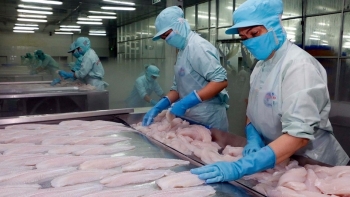Xuất khẩu cá tra của Việt Nam trong quý III sẽ tăng trưởng khả quan