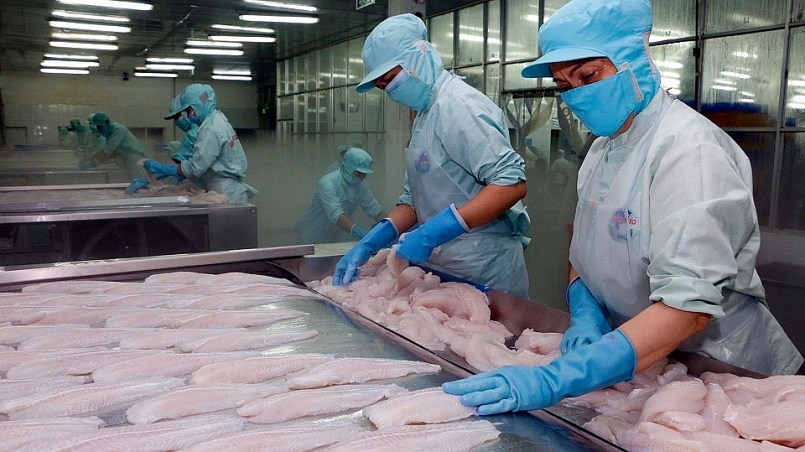 Xuất khẩu cá tra của Việt Nam quý III sẽ tăng trưởng khả quan