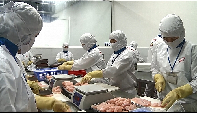 An Giang: Phấn đấu kim ngạch xuất khẩu năm 2021 đạt 965 triệu USD An Giang: Phấn đấu kim ngạch xuất khẩu năm 2021 đạt 965 triệu USD