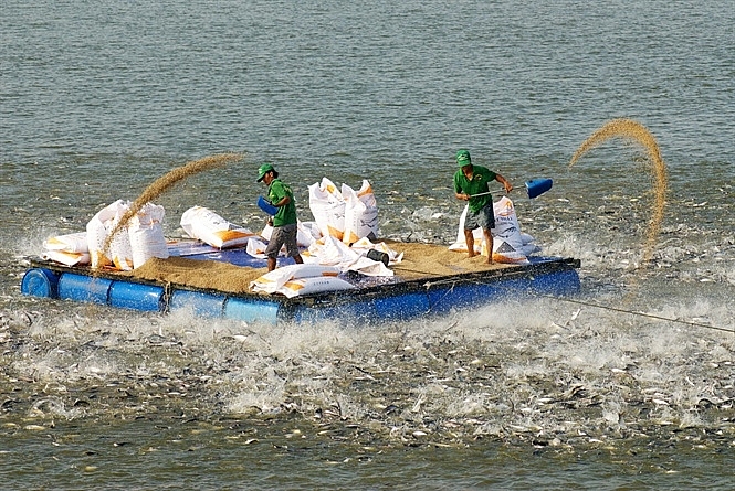 Trong 6 tháng đầu năm 2021, kim ngạch xuất khẩu của An Giang đạt trên 463 triệu USD và tăng gần 3,52% so cùng kỳ Trong 6 tháng đầu năm 2021, kim ngạch xuất khẩu của An Giang đạt trên 463 triệu USD và tăng gần 3,52% so cùng kỳ