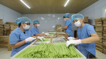 Hà Nội: Xuất khẩu hàng hóa 7 tháng đầu năm tăng nhẹ