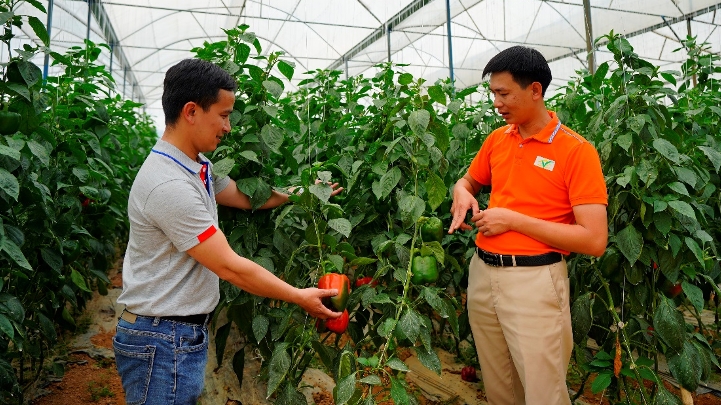 Hỗ trợ đưa hộ sản xuất nông nghiệp lên sàn thương mại điện tử