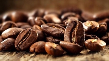 Giá cà phê hôm nay 28/7: Điều chỉnh giảm nhẹ