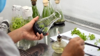 Ninh Bình: Hỗ trợ đổi mới công nghệ và bảo tồn, khai thác, phát triển nguồn gen trên địa bàn tỉnh