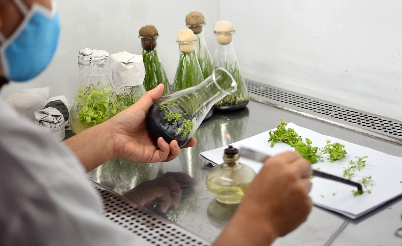 Ninh Bình: Hỗ trợ đổi mới công nghệ và bảo tồn, khai thác, phát triển nguồn gen trên địa bàn tỉnh