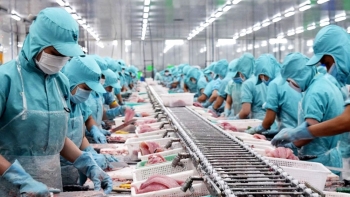 Xuất khẩu thủy sản tăng trưởng dương trong nửa đầu tháng 7