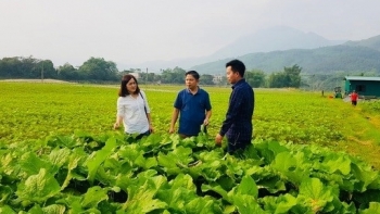 Yên Bái: Ban hành kế hoạch hỗ trợ phát triển kinh tế tập thể năm 2021