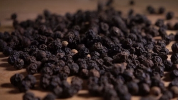 Giá hồ tiêu hôm nay 29/7: Giảm nhẹ tại các tỉnh Tây Nguyên