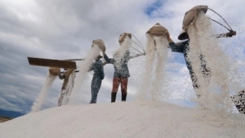 Khánh Hòa: Gắn kết hoạt động du lịch biển với trải nghiệm sản xuất và chế biến muối