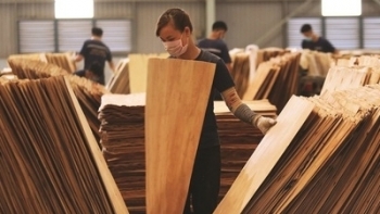 6 tháng đầu năm, lượng ván bóc xuất khẩu sang Trung Quốc tăng gần 380%