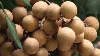 Kết nối tiêu thụ nhãn, sản phẩm OCOP tỉnh Đồng Tháp và Sóc Trăng