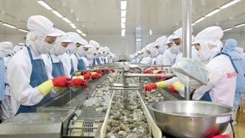 Tạo điều kiện để doanh nghiệp chế biến thủy sản hoạt động