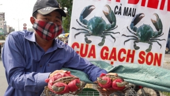 Cà Mau: Tháo gỡ khó khăn trong hoạt động thu mua thủy sản, vật tư thiết yếu ngoài địa bàn cư trú