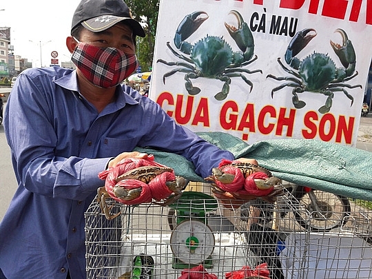 Cà Mau: Tháo gỡ khó khăn trong hoạt động thu mua thủy sản, vật tư thiết yếu ngoài địa bàn cư trú
