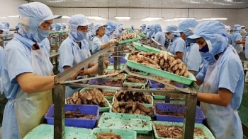 Phú yên: Chỉ số sản xuất công nghiệp tháng 7 tăng trưởng dương so với cùng kỳ