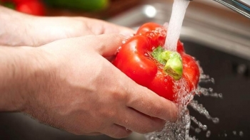 Quảng Bình: Tập trung triển khai nhiệm vụ bảo đảm an toàn thực phẩm giai đoạn 2021 - 2025