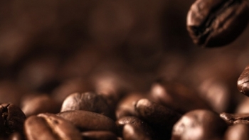 Giá cà phê hôm nay 2/8: Đi ngang đầu tuần