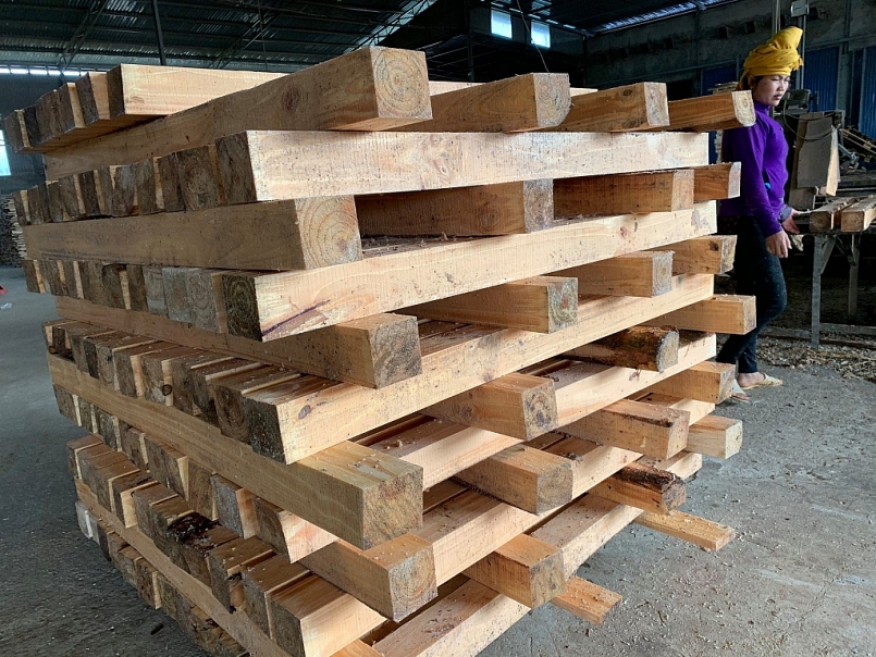 Sơn La: Sản lượng gỗ khai thác trong tháng 7 ước đạt 2.165 m3