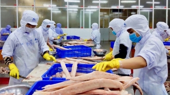 Phú Yên: Tổng kim ngạch xuất khẩu tháng 7 ước đạt 14,8 triệu USD