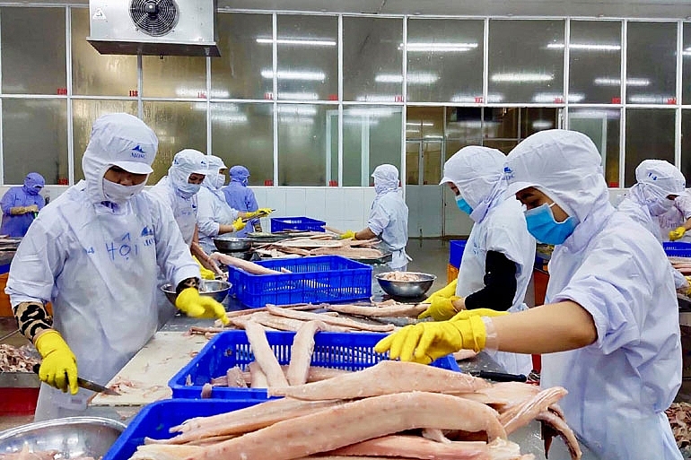 Phú Yên: Tổng kim ngạch xuất khẩu tháng 7 ước đạt 14,8 triệu USD