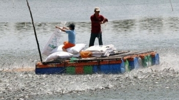 Đồng Tháp: Sản lượng nuôi trồng thủy sản 7 tháng đầu năm ước đạt 258.680,31 tấn