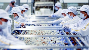 Xuất khẩu nông sản đạt 28,6 tỷ USD trong 7 tháng đầu năm