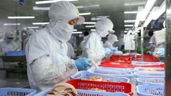 TP HCM: Tổng kim ngạch xuất nhập khẩu 7 tháng đầu năm đạt gần 80 tỷ USD