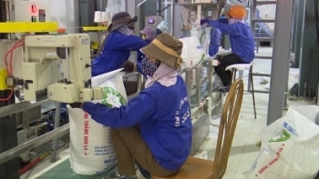 Sơn La: Sản xuất công nghiệp 7 tháng đầu năm tăng 15,1%