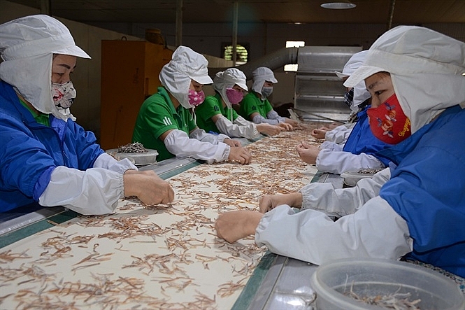 Yên Bái: Phê duyệt Đề án cơ cấu lại ngành công nghiệp trên địa bàn tỉnh giai đoạn 2021 - 2025