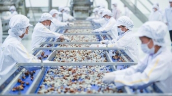 Sơn La: Tập trung phát triển doanh nghiệp, kinh tế tập thể và tư nhân