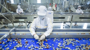 Sơn La: Giá trị hàng hóa tham gia xuất khẩu 7 tháng đầu năm đạt hơn 81 triệu USD