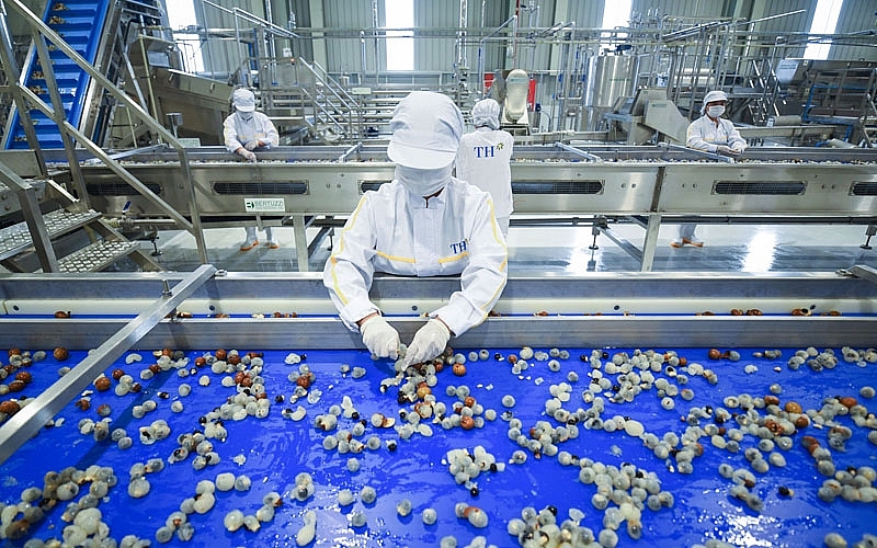 Sơn La: Giá trị hàng hóa tham gia xuất khẩu 7 tháng năm đạt hơn 81 triệu USD Sơn La: Giá trị hàng hóa tham gia xuất khẩu 7 tháng năm đạt hơn 81 triệu USD