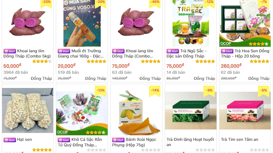 Đồng Tháp: Hỗ trợ đưa hộ sản xuất nông nghiệp lên sàn thương mại điện tử