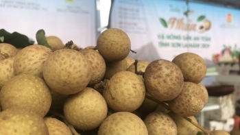 Sơn La: Xây dựng phương án tiêu thụ, chế biến sản phẩm Nhãn trong điều kiện phòng, chống dịch Covid-19