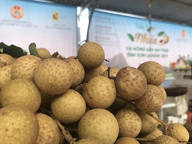 Sơn La: Xây dựng phương án tiêu thụ, chế biến sản phẩm Nhãn trong điều kiện phòng, chống dịch Covid-19 Sơn La: Xây dựng phương án tiêu thụ, chế biến sản phẩm Nhãn trong điều kiện phòng, chống dịch Covid-19