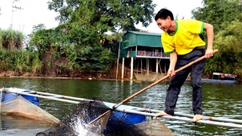 Yên Bái: Diện tích nuôi trồng thủy sản toàn tỉnh đạt 2.600 ha