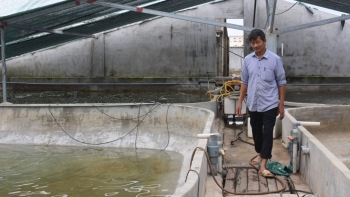 Nam Định: Phấn đấu tổng sản lượng thủy sản đến năm 2030 đạt khoảng 230.150 tấn