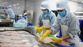 Tổng giá trị xuất khẩu thủy sản 7 tháng đầu năm ước đạt 4,92 tỷ USD