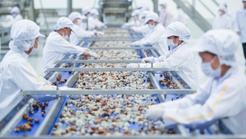 Sơn La: Có 36 doanh nghiệp thành lập mới trong tháng 7