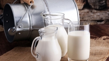 Sữa và sản phẩm sữa được nhập nhiều nhất từ thị trường New Zealand