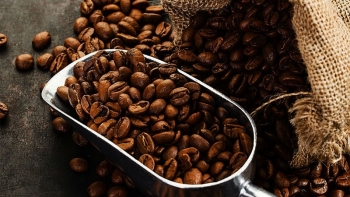 Giá cà phê hôm nay 6/8: Quay đầu giảm nhẹ 100 đồng/kg