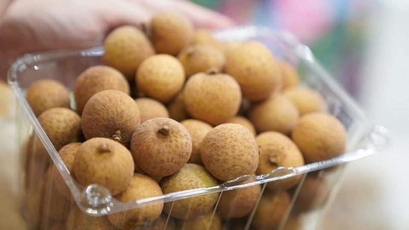 Hải Dương: Mở vườn thu hái nhãn xuất khẩu sang thị trường EU