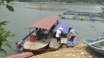 Lạng Sơn:  Tăng cường chỉ đạo phát triển sản xuất thủy sản, chăn nuôi các tháng cuối năm
