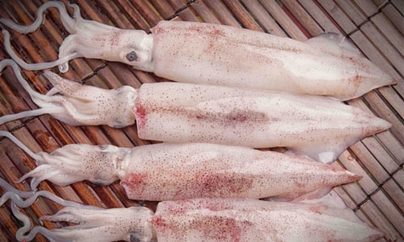 Xuất khẩu mực, bạch tuộc sang Hàn Quốc tăng nhẹ Xuất khẩu mực, bạch tuộc sang Hàn Quốc tăng nhẹ