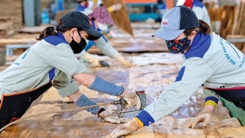 Quảng Bình: Phấn đấu tốc độ tăng trưởng công nghiệp đạt 14 - 14,5% và thương mại đạt 13 - 13,5%