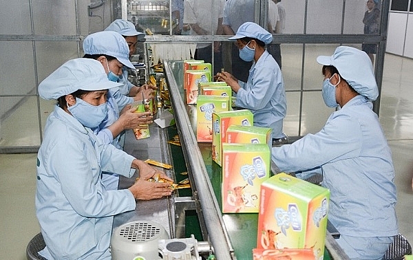 Tỉnh Phú Thọ luôn xác định phát triển cây chè là một trong những chương trình sản xuất nông nghiệp trọng điểm