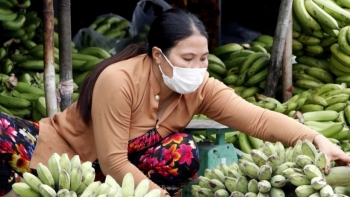 Cà Mau: Tăng cường hỗ trợ nông dân tiêu thụ nông sản trong phòng, chống dịch Covid-19